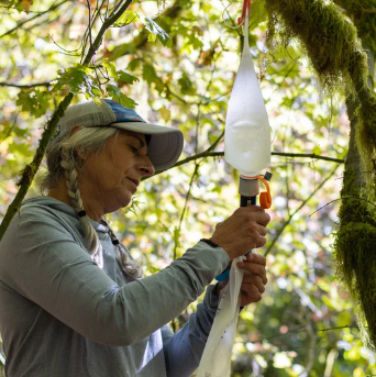 cnoc 2l bladder 28mm orange hung from a mossy tree