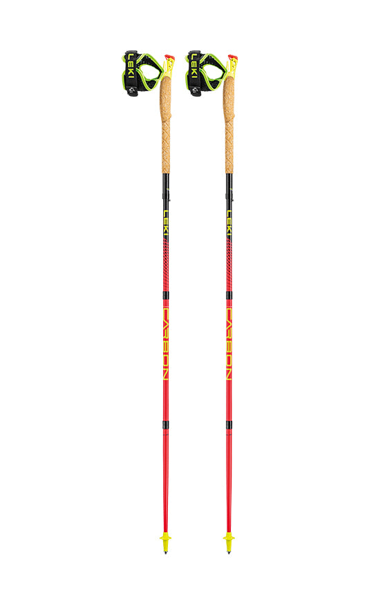 pair of poles