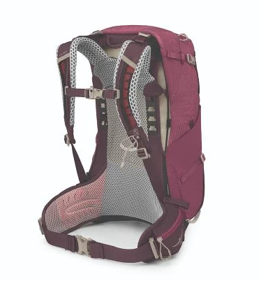 osprey sirrus 24 pack in elderberry, back view