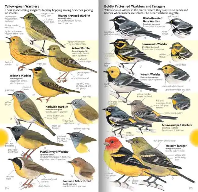 an example page out of the laws field guide
