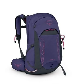 osprey tempest 22 in fig color back view