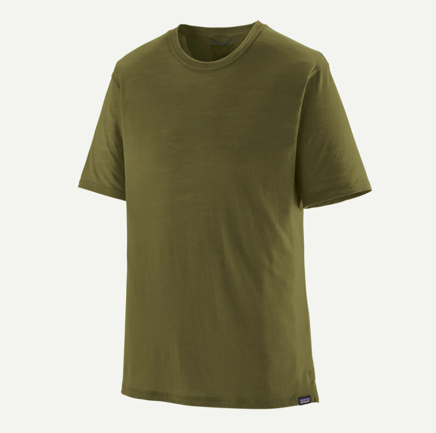 patagonia capilene cool merino tee in pond green