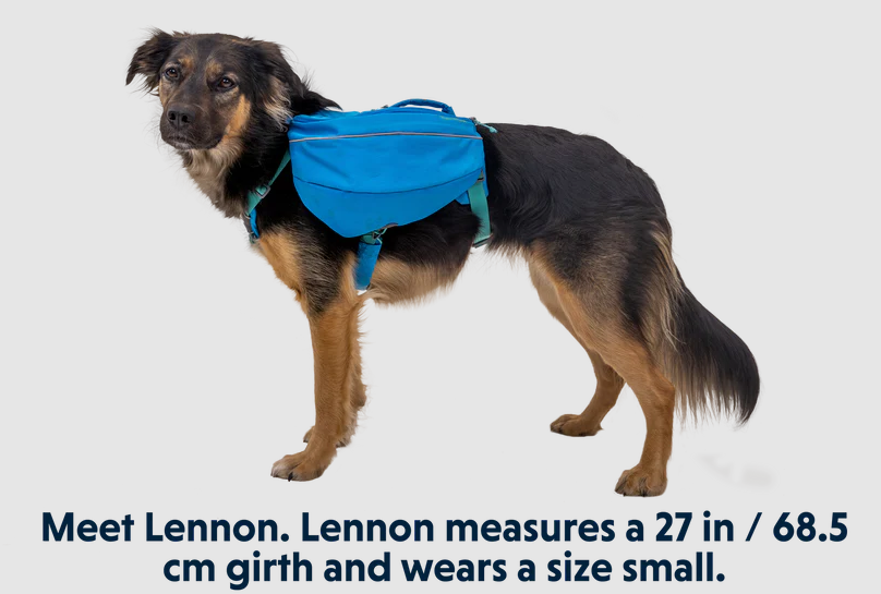 a dogg wearing the ruffwear approach dog pack in blue