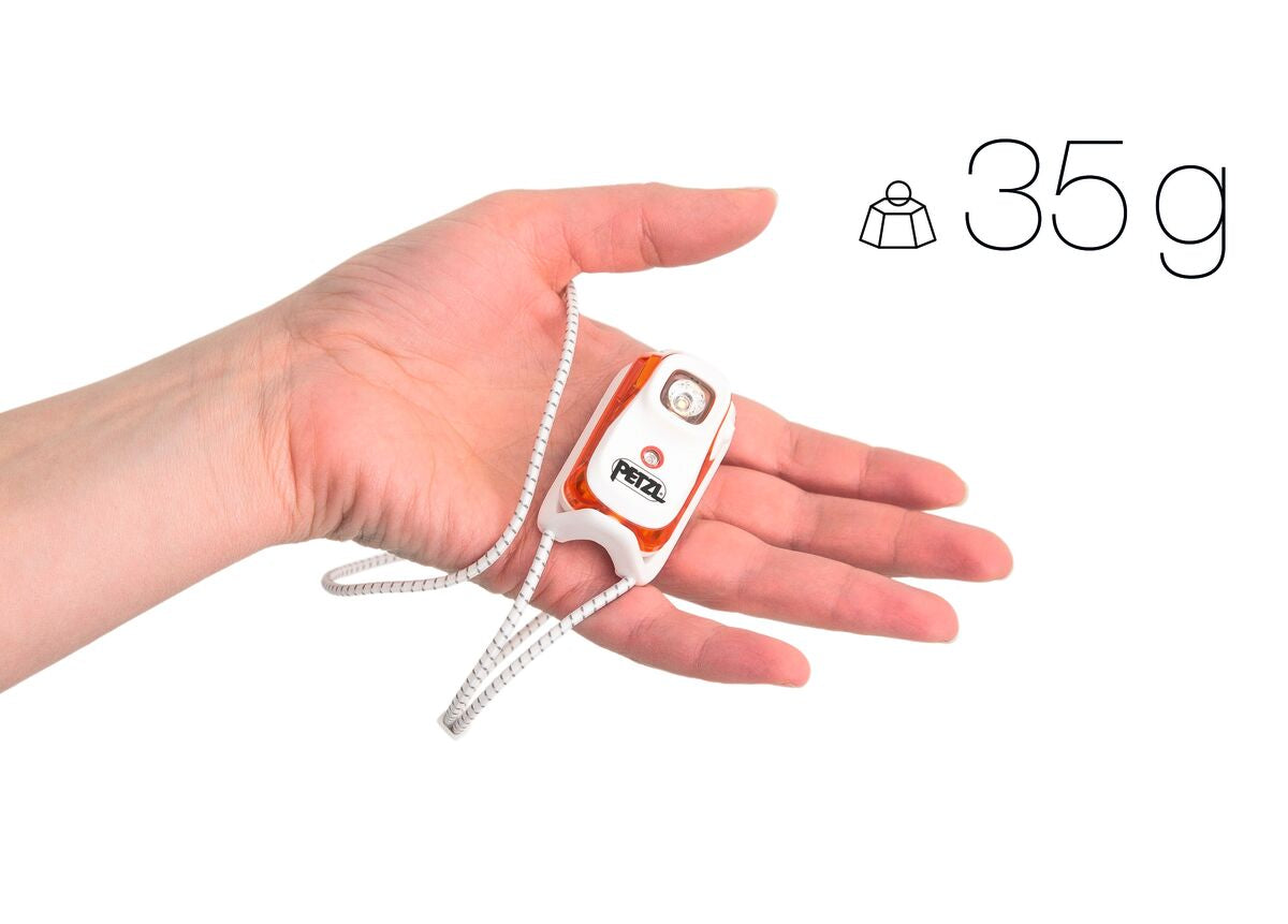 bindi in a human hand showing how small it is