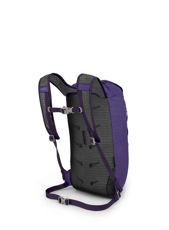 osprey daylite cinch in purple, back view