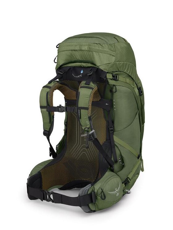 osprey atmos ag 65 in mythical green, back view