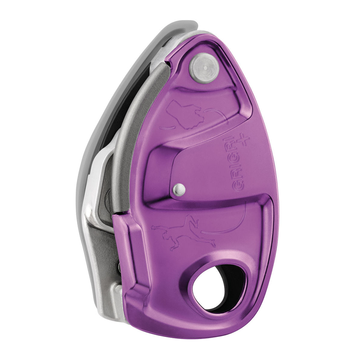 the petzl grigri plus +, in purple