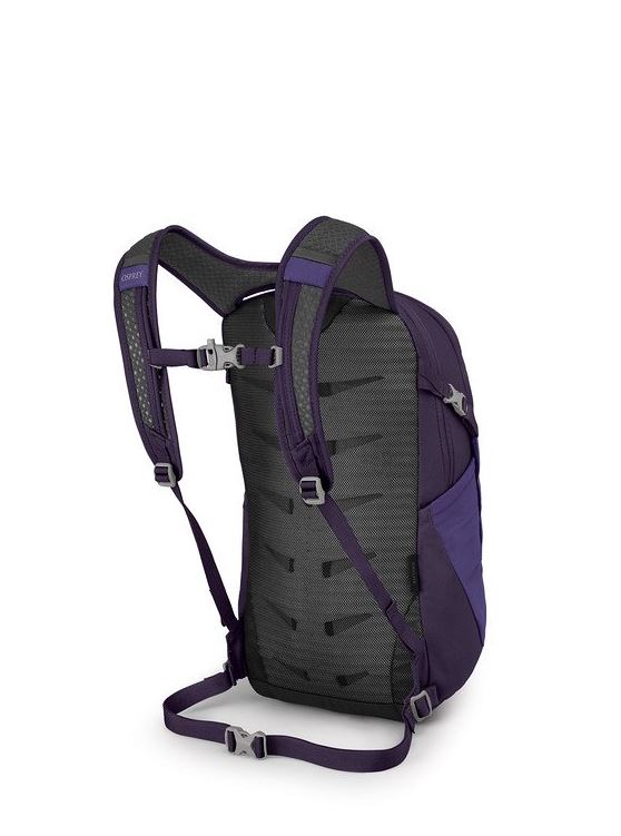 osprey daylite in purple, back view
