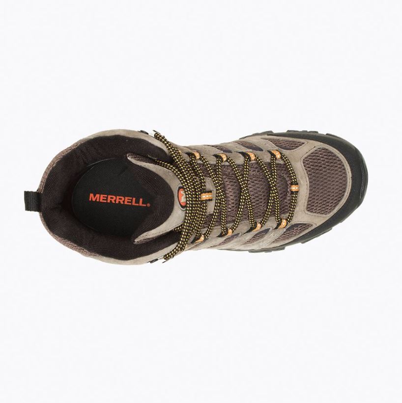 mens merrell moab 3 mid vent in walnut, top view