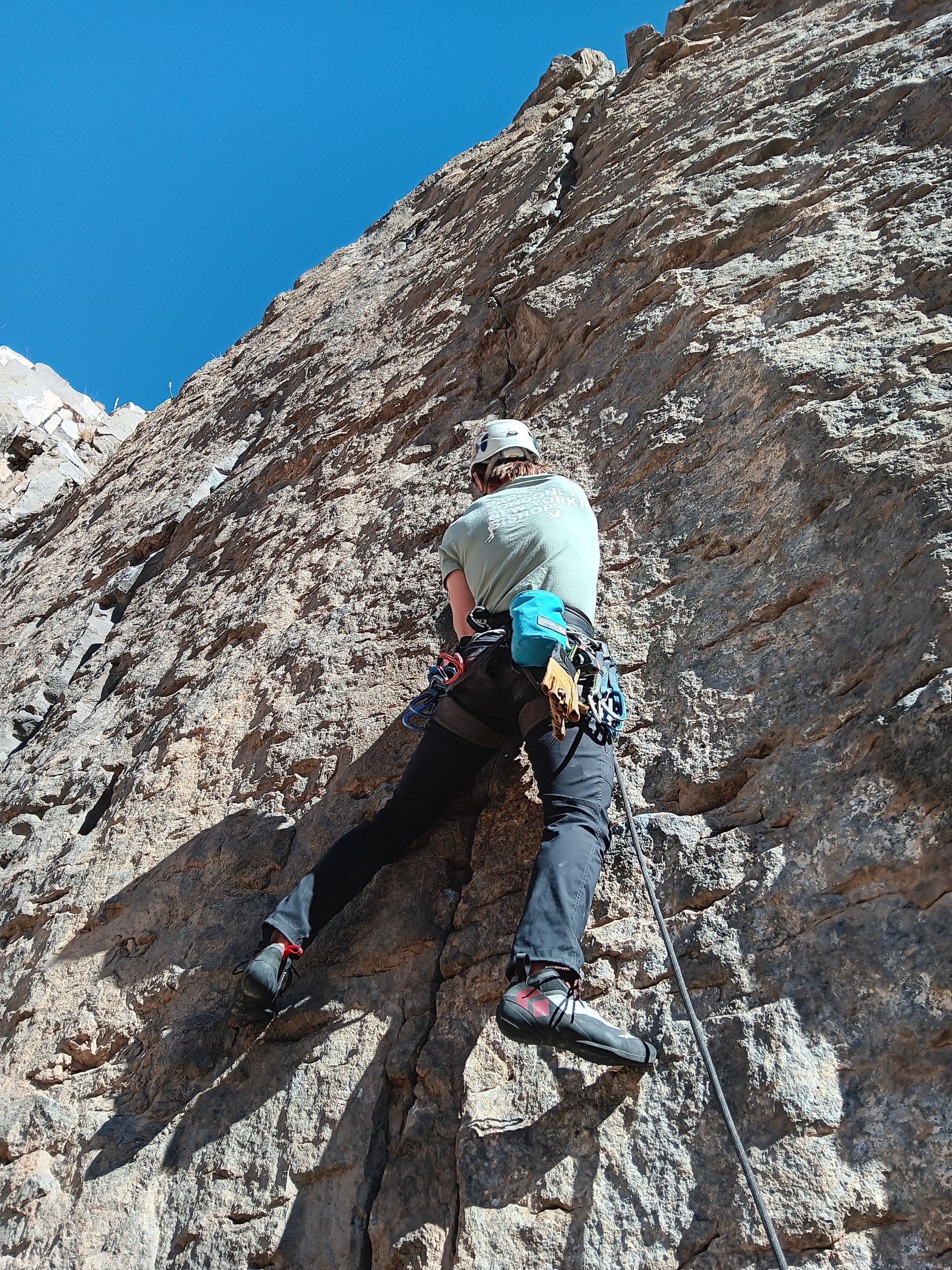 T-Shirt Paris, London, New York, Bishop in sage in action in the Owens River Gorge