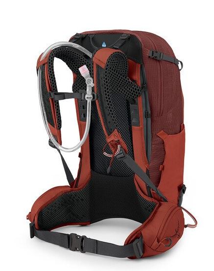 a photo of the osprey manta 24 pack in the color oak leaf orange, back view