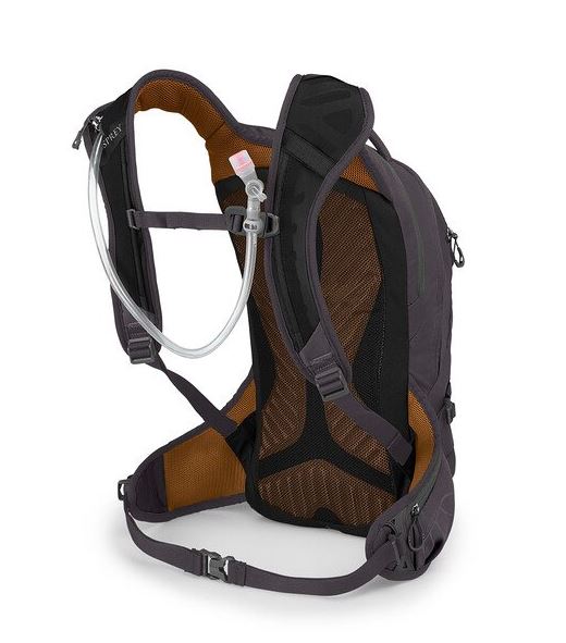 a photo of the osprey womens raven 10 backpack in the color space travel grey, back view