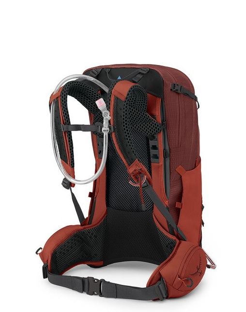a photo of the osprey manta 34 backpack in the color oak leaf orange, back view