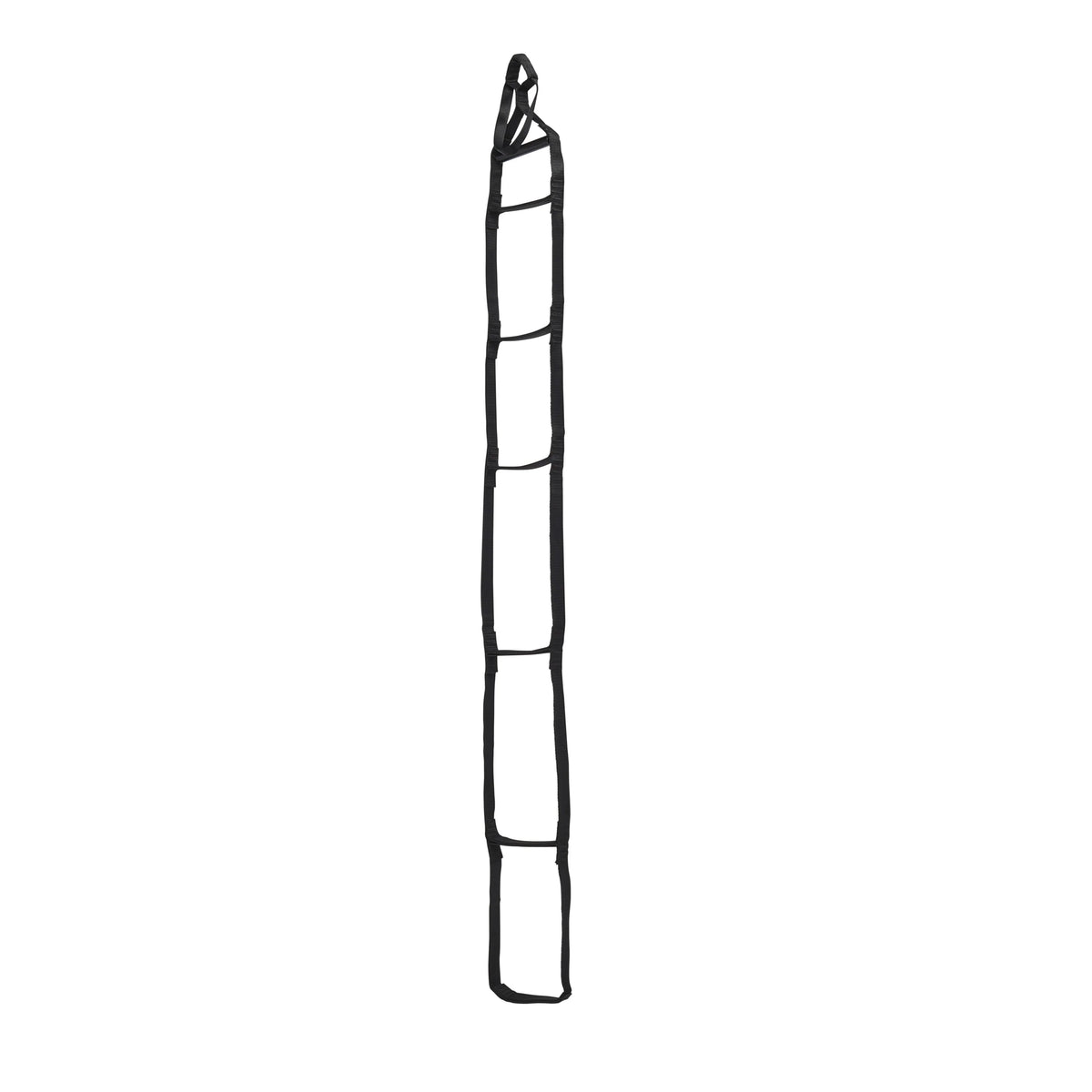 Black Diamond Equipment StepUp 6 Ladder, black
