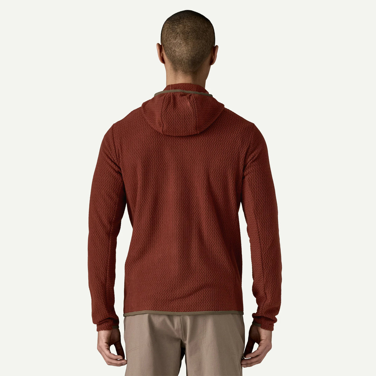 Patagonia R1® Air Fleece Full-Zip Hoody Men's, dried vanilla, on model, back