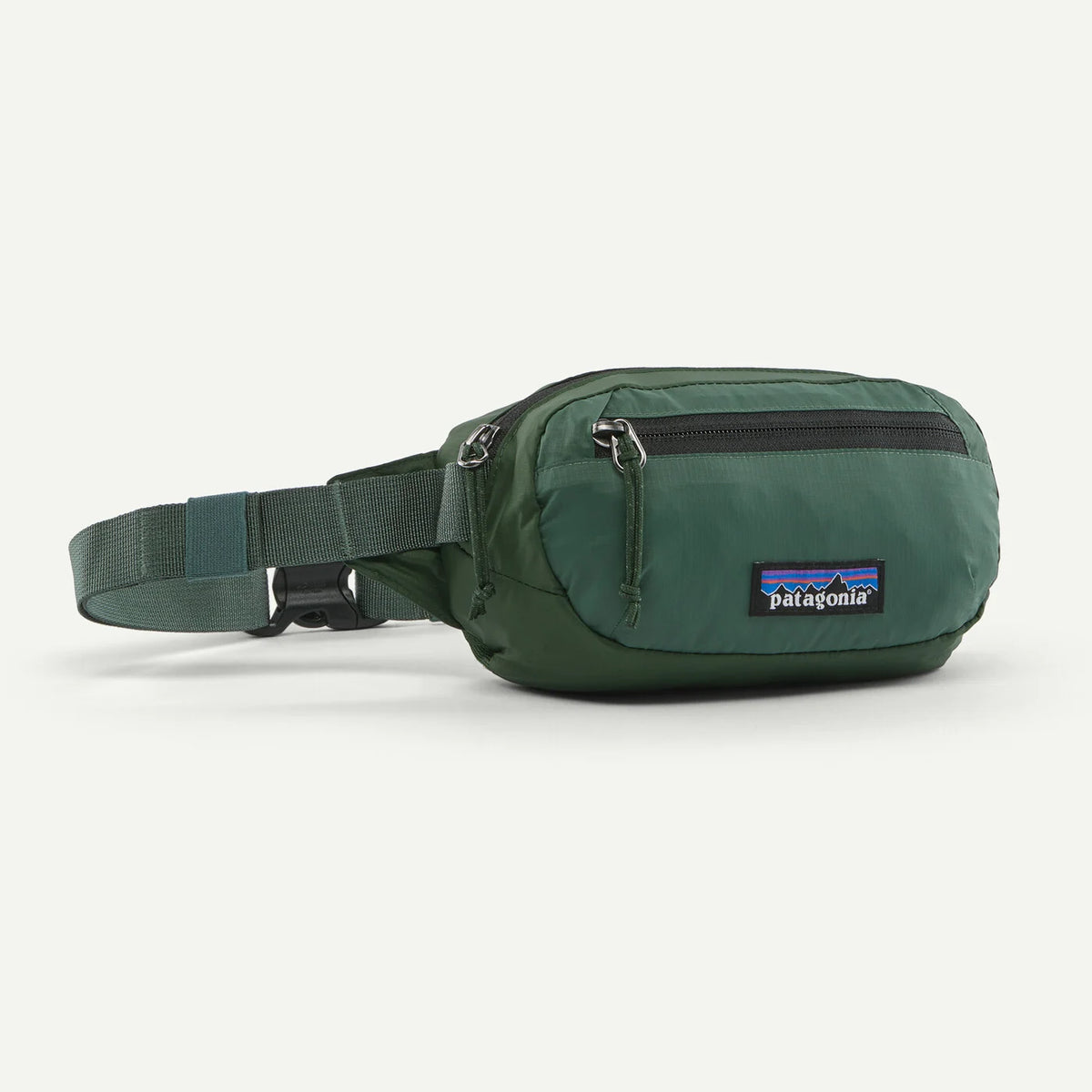 A dark green Patagonia waist bag with an adjustable webbing strap, a front zippered pocket, and the signature Patagonia logo patch on the front, set against a plain off-white background.