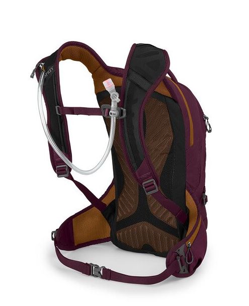 a photo of the osprey womens raven 10 backpack in the color aprium purple, back view