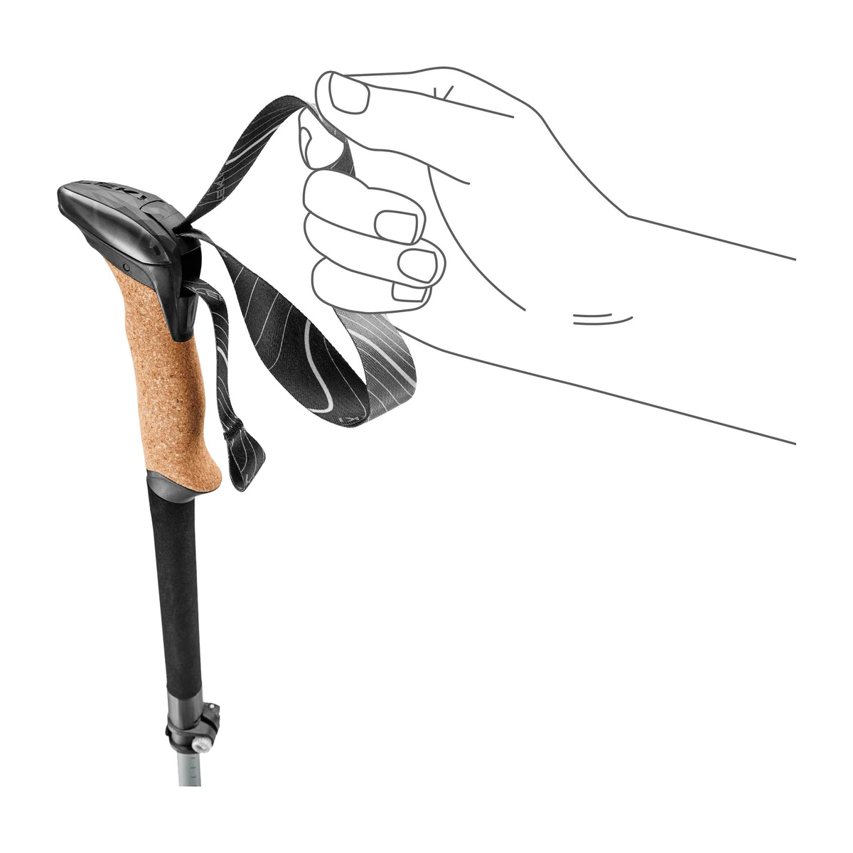 Hiking stick with cork handle and strap, illustrated hand holding strap on white background
