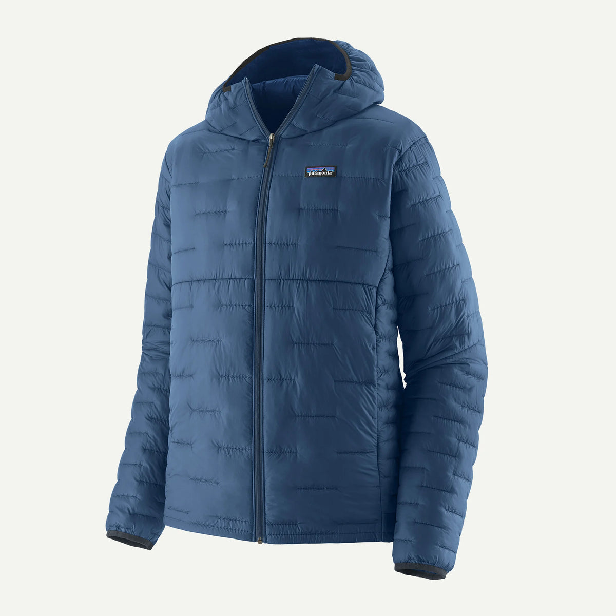 Patagonia Men's Micro Puff® Hoody in clement blue