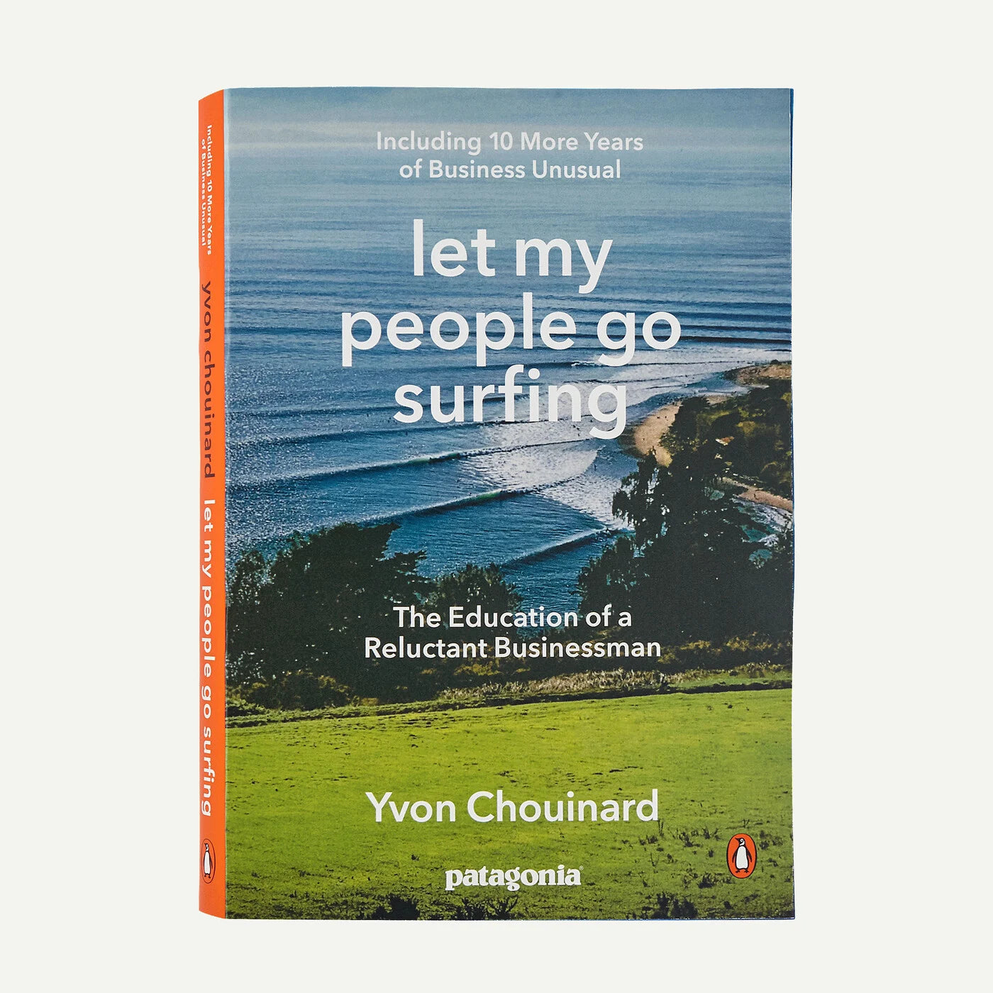 Book cover of 'Let My People Go Surfing' by Yvon Chouinard with a scenic view and Patagonia logo.