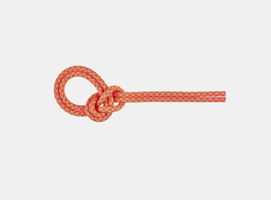 Mammut Crag Sender Dry 8.7mm Climbing Rope