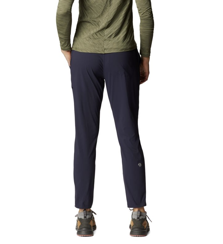 a model wearing the womens mountain hardwear dynama 2 ankle pant in the color zinc, back view