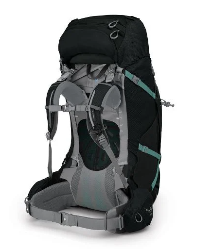 the ariel plus 70 backpack in black, back view