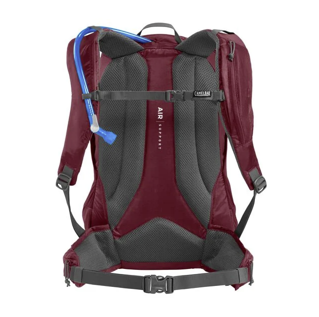 the camelback womens rim runner x 20 backpack in the color cabernet, back view