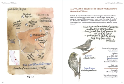 The Deserts of California