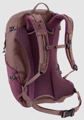 deuter futura 21 sl cassis back view