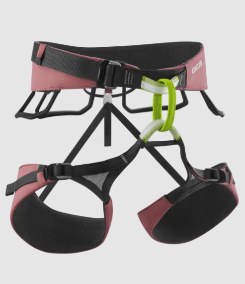 edelrid autana harness womens front view