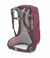 osprey cirrus 34 pack in color elderberry, back view