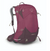 osprey cirrus 34 pack in color elderberry, front view
