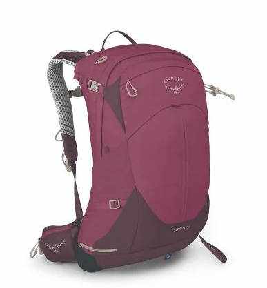 osprey sirrus 24 pack in elderberry, front view