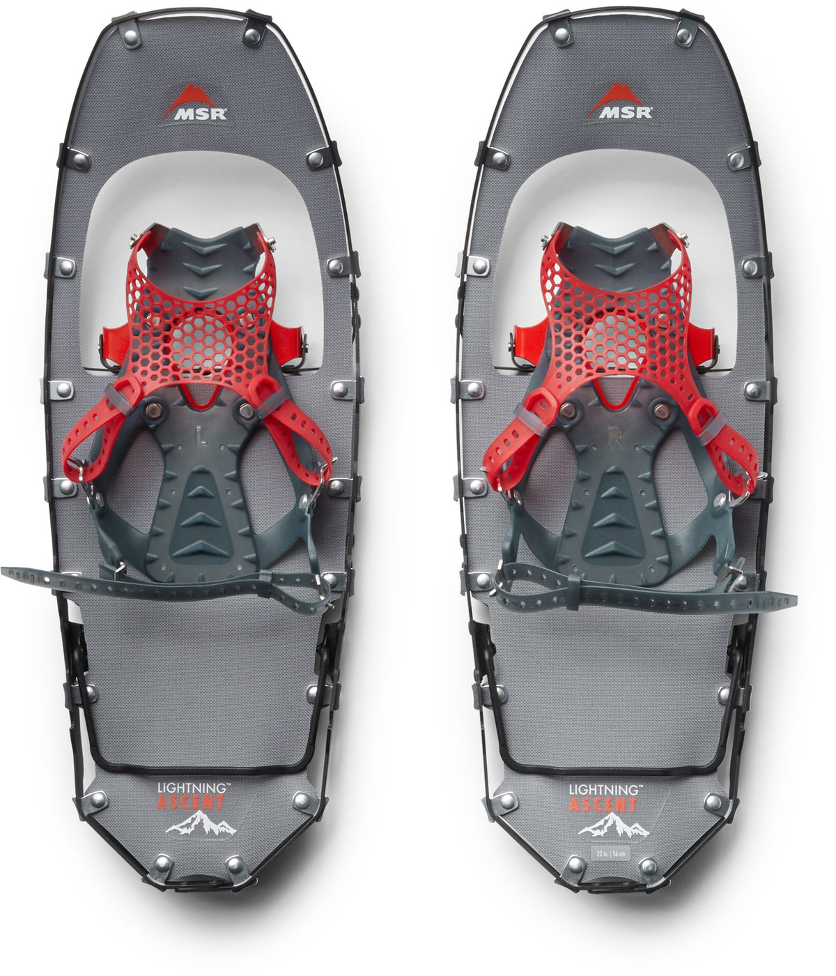 Pair of gray and red snowshoes with MSR branding on a white background