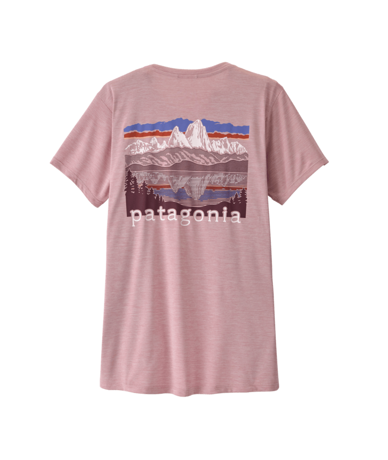 A light pink Patagonia short-sleeve t-shirt shown from the back, featuring a large graphic print of a mountain landscape with a lake reflection and the Patagonia logo printed across the center.