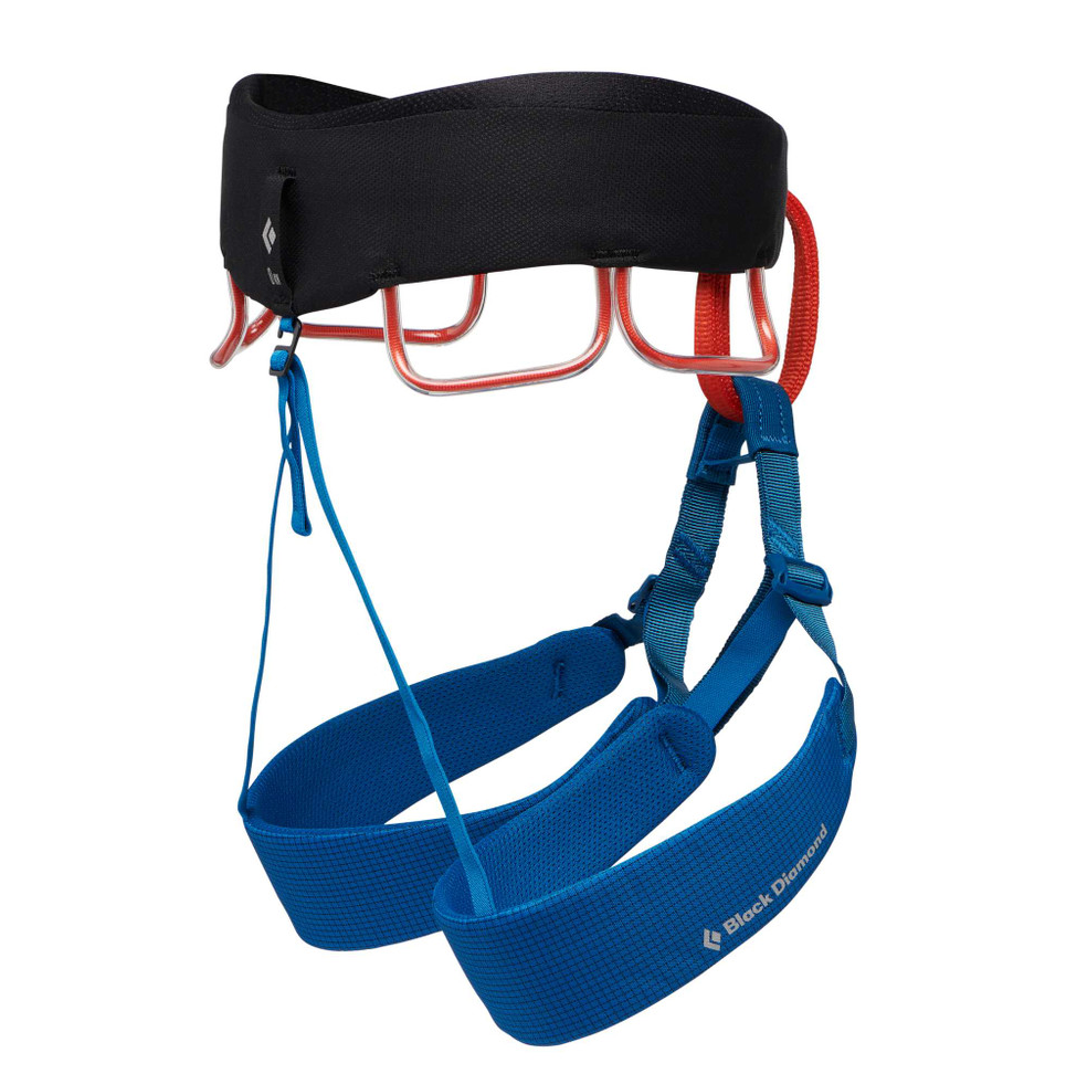 the black diamond mens momentum harness in the color kingfisher blue, view of the side and back of the harness