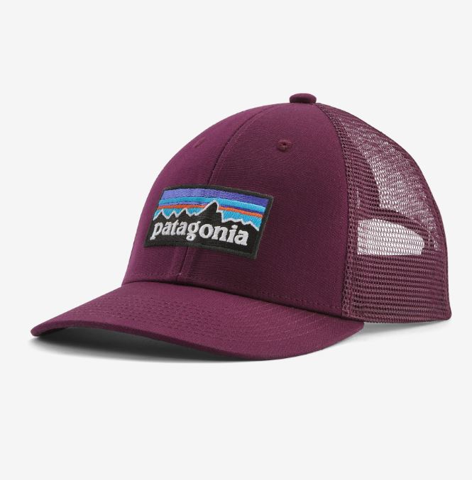 Patagonia Fitz Roy Fish LoPro Trucker Hat Forge Grey w/Fitz Roy Tarpon