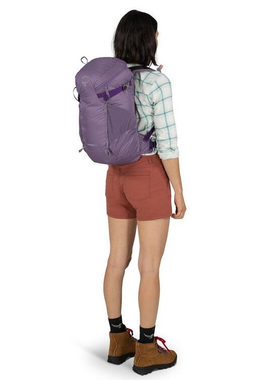 a photo of the osprey skimmer 20 backpack in purpurite purple, back view on a model
