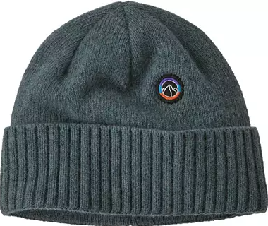 patagonia brodeo beanie in nouveau green