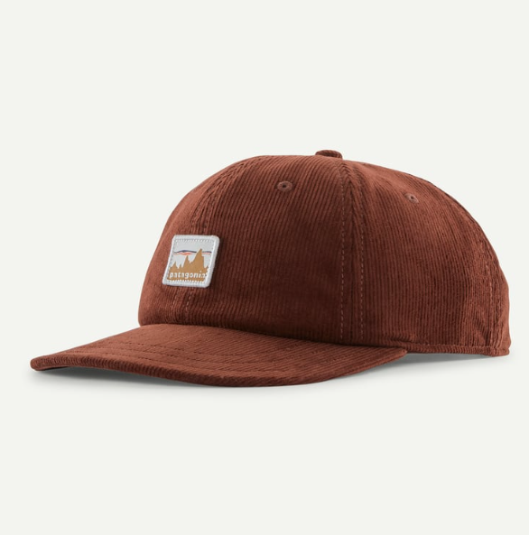 patagonia corduroy cap in dried vanilla