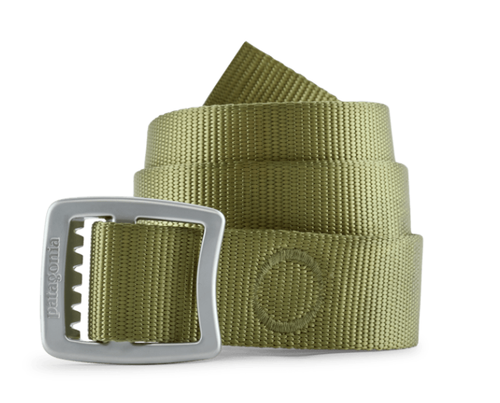 patagonia tech web belt in caper green