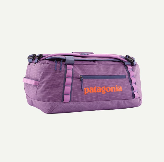 patagonia black hole duffel 40l in brisk purple