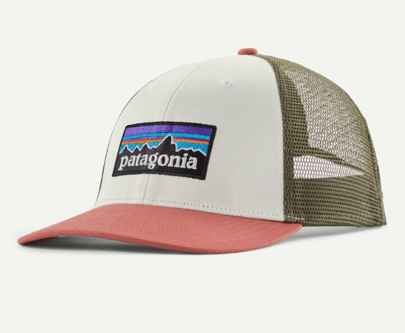patagonia p6 low pro trucker in birch white