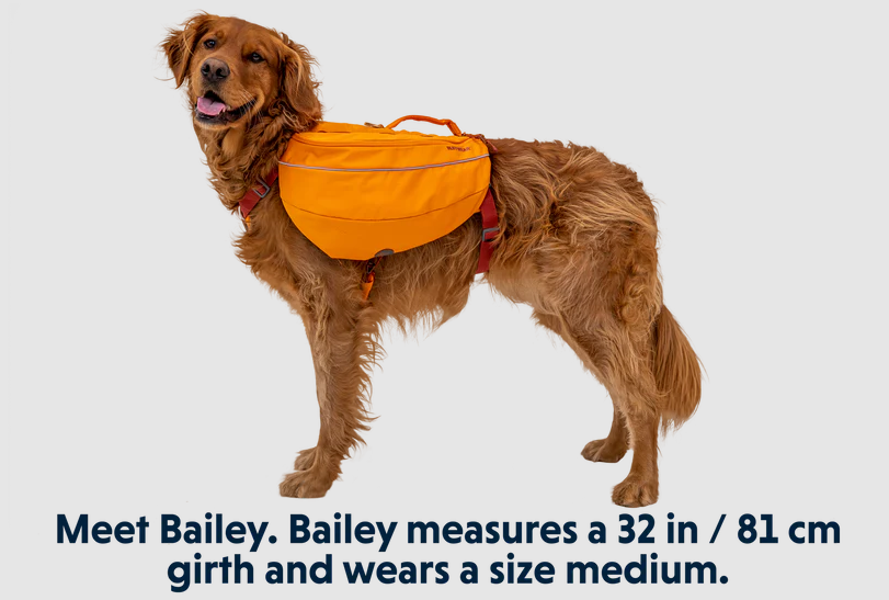 a dog wearing the ruffwear approach dog pack in orange
