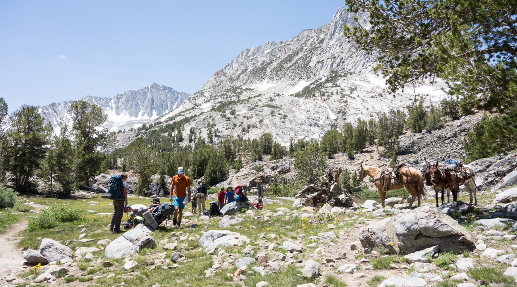 a group backpacking with horses standing off to the side