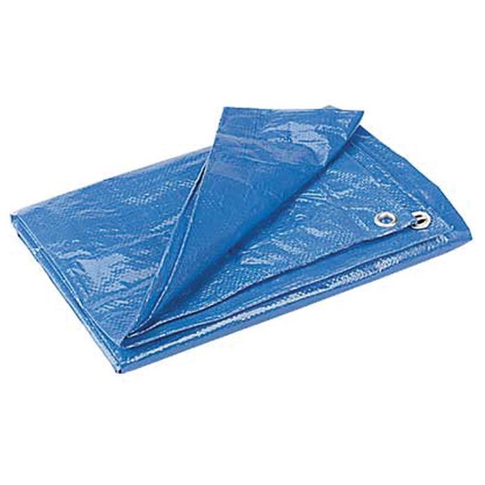 the ubiquitous blue poly tarp