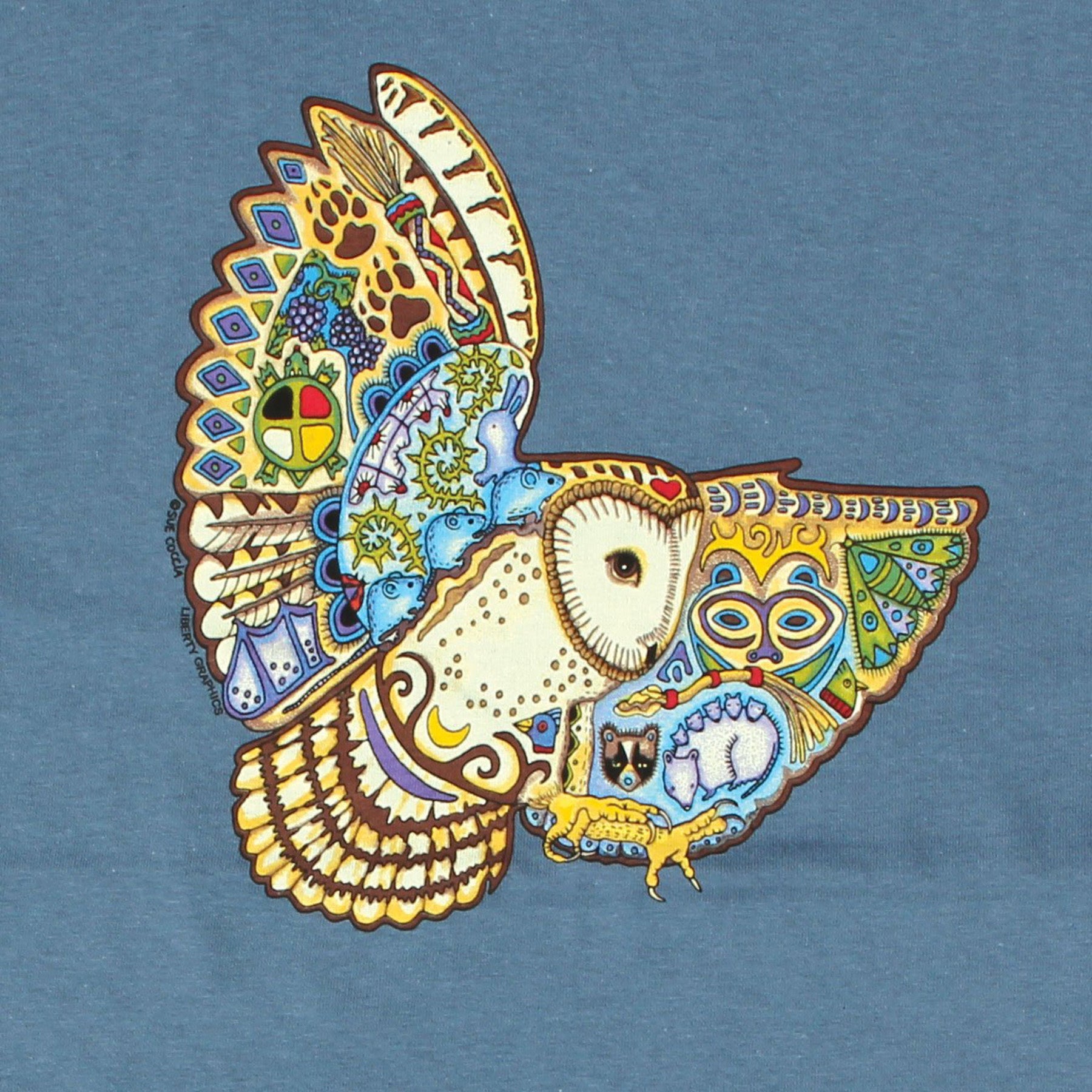 barn owl detail