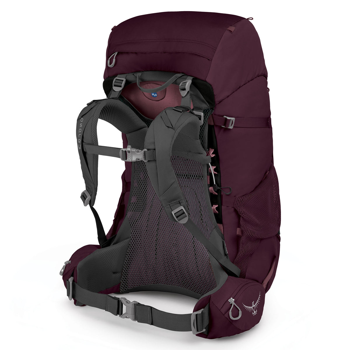 osprey renn 65 in purple, back view
