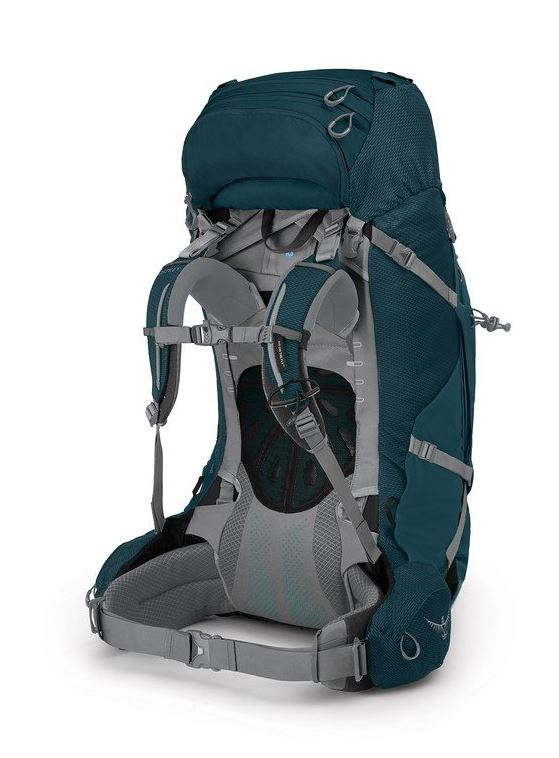 osprey ariel plus 70 backpack in night jungle blue, back view